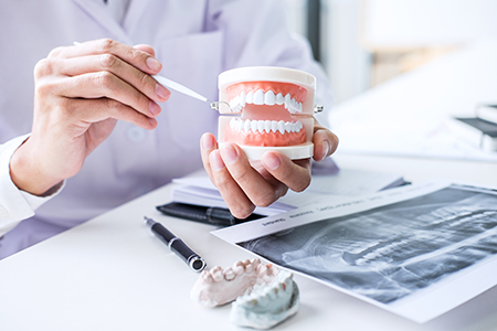 The image shows a dental professional holding a container with a set of teeth models while standing behind a table displaying various dental tools and equipment, including X-rays and a model of a human head.